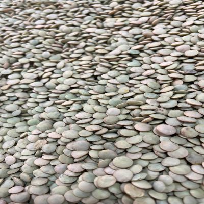 Yeşil Mercimek Yerli - Yozgat Yöresi